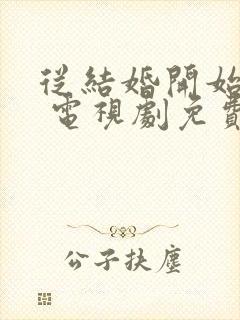 从结婚开始恋爱 电视剧免费观看23影院