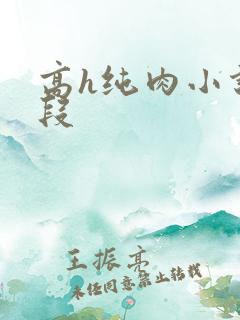 高h纯肉小说片段