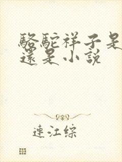 骆驼祥子是话剧还是小说