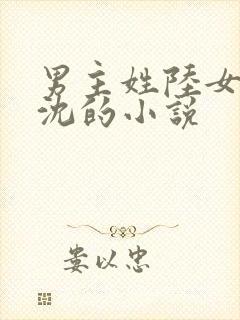 男主姓陆女主姓沈的小说