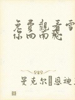 免费观看雪落时你向南飞