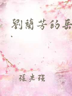 刘兰芳的岳飞传.