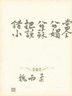 错把公公当老公小说苏媚全文阅读