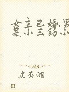 女主已婚,男主是小三的小说