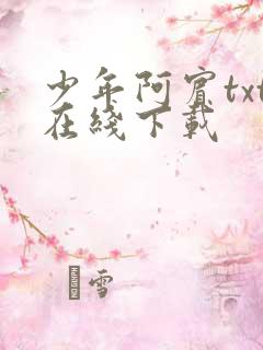 少年阿宾txt在线下载