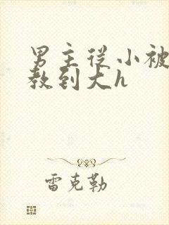 男主从小被肉调教到大h