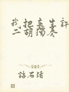 我把来生许给你二胡独奏