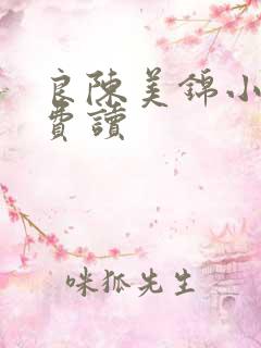 良陈美锦小说免费读