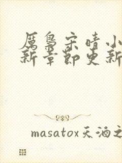 厉枭宋晴小说最新章节更新时间