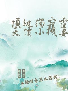 顶级独宠霍爷的天价小拽妻全文免费阅读