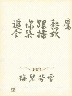 追你跟熬鹰短剧全集播放