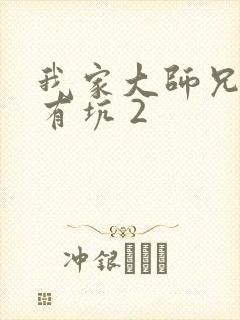 我家大师兄脑子有坑 2