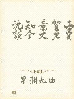 沈知意贺西洲小说全文免费阅读