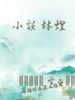 小说 林煜