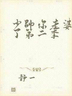 少帅你老婆又跑了第二季