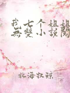 我七个姐姐绝世无双小说阅读全部