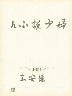 h小说少妇