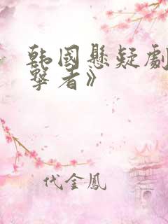 韩国悬疑剧《目击者》