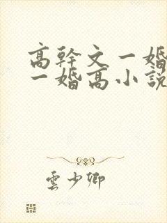 高干文一婚还比一婚高小说