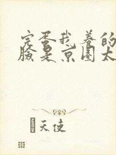 完蛋我养的小白脸是京圈太子爷短剧