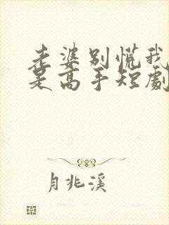 老婆别慌我家全是高手短剧免费观看