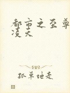 都市之至尊战神凌天