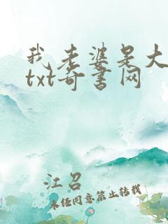 我老婆是大明星txt奇书网