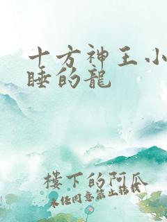 十方神王小说贪睡的龙