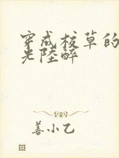 穿成校草的白月光陆醉