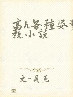 高h各种姿势调教小说