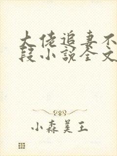 大佬追妻不择手段小说全文阅读