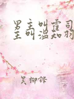 男主叫霍司砚女主叫温知羽的小说