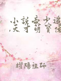 小说帝少追缉令,天才萌宝亿万妻