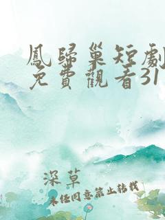 凤归巢短剧全集免费观看31—40