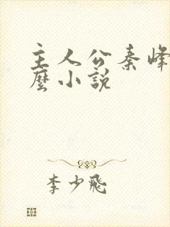 主人公秦峰是什么小说