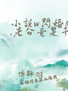 小说w闪婚成宠,老公竟是千亿大佬》