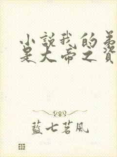 小说我的弟子全是大帝之资全文免费读