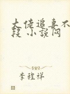 大佬追妻不择手段 小说网