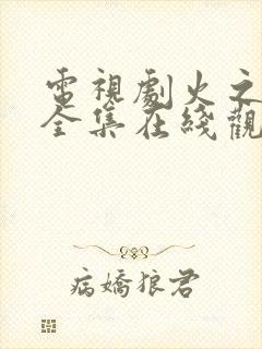 电视剧火之迷恋全集在线观看免费