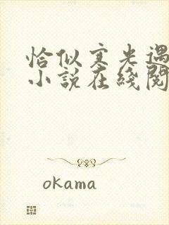 恰似寒光遇骄阳小说在线阅读全文免费