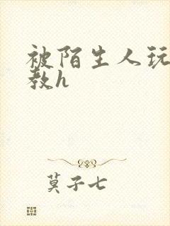 被陌生人玩弄调教h