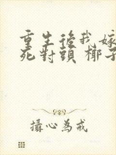 重生后我嫁给了死对头 椰子絮