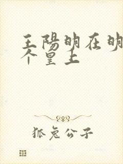 王阳明在明朝哪个皇上