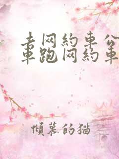 去网约车公司买车跑网约车可靠吗