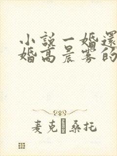 小说一婚还比一婚高晨雾的光