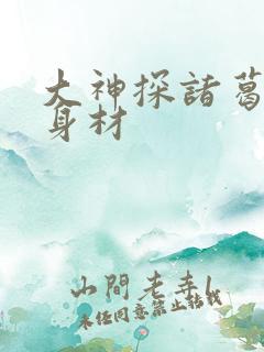 大神探诸葛九九身材