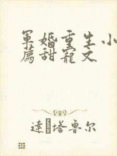 军婚重生小说推荐甜宠文