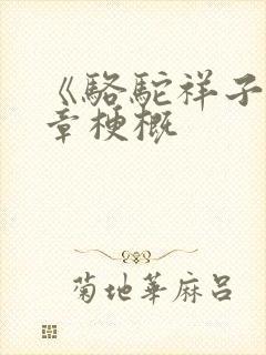 《骆驼祥子》各章梗概