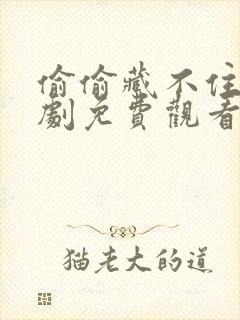 偷偷藏不住电视剧免费观看.