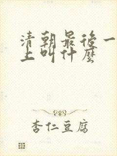 清朝最后一位皇上叫什么